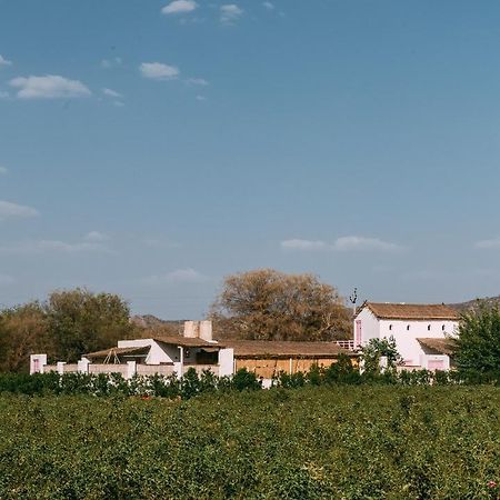The Luxe Pushkar - A Luxury Farmstay In بوشكار المظهر الخارجي الصورة
