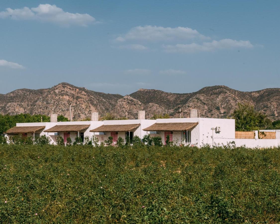 The Luxe Pushkar - A Luxury Farmstay In بوشكار المظهر الخارجي الصورة