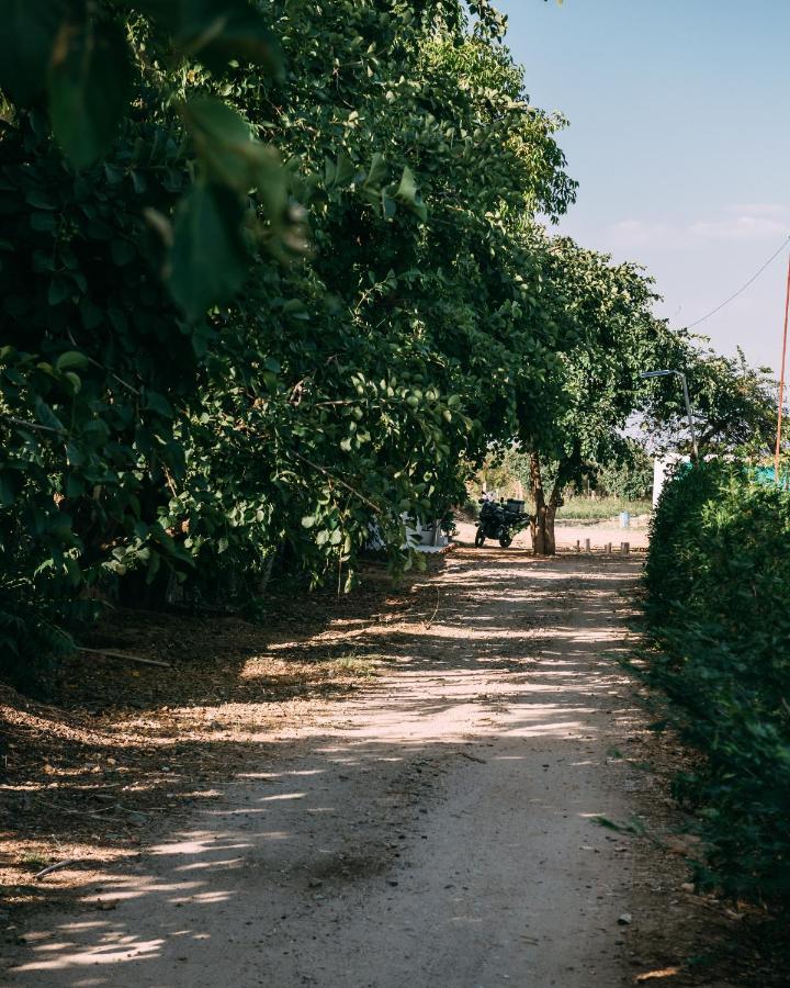 The Luxe Pushkar - A Luxury Farmstay In بوشكار المظهر الخارجي الصورة