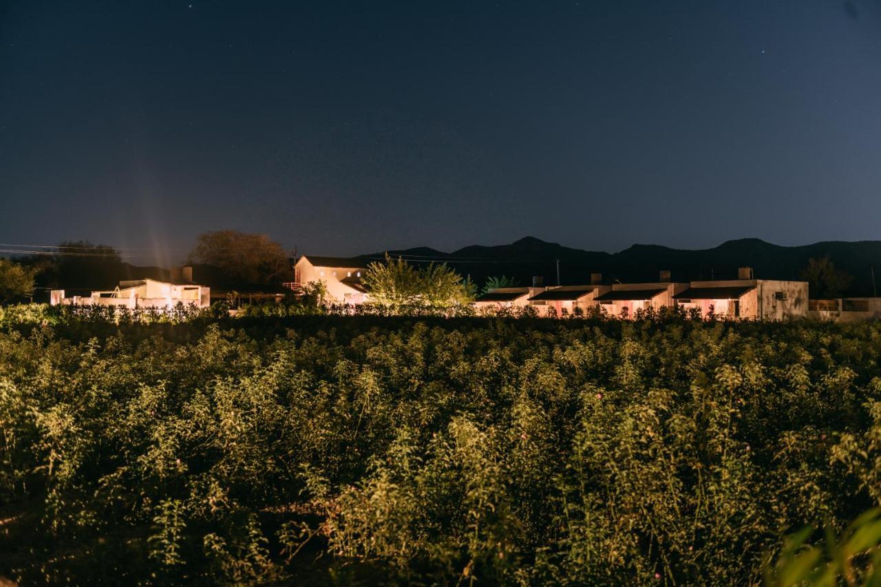 The Luxe Pushkar - A Luxury Farmstay In بوشكار المظهر الخارجي الصورة