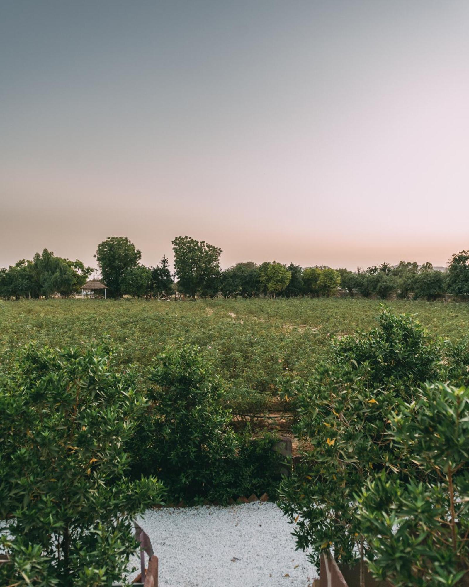 The Luxe Pushkar - A Luxury Farmstay In بوشكار المظهر الخارجي الصورة