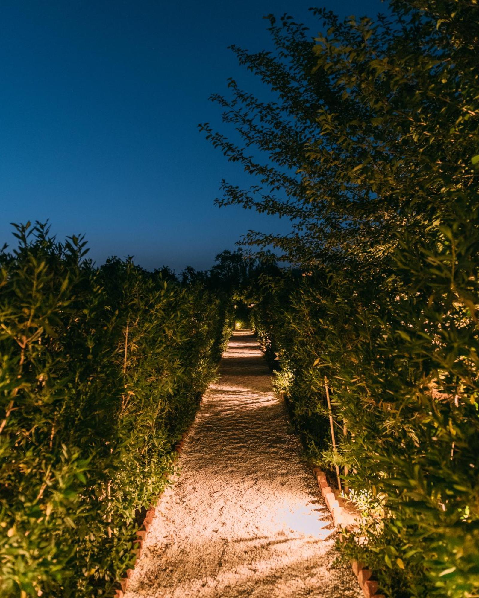 The Luxe Pushkar - A Luxury Farmstay In بوشكار المظهر الخارجي الصورة
